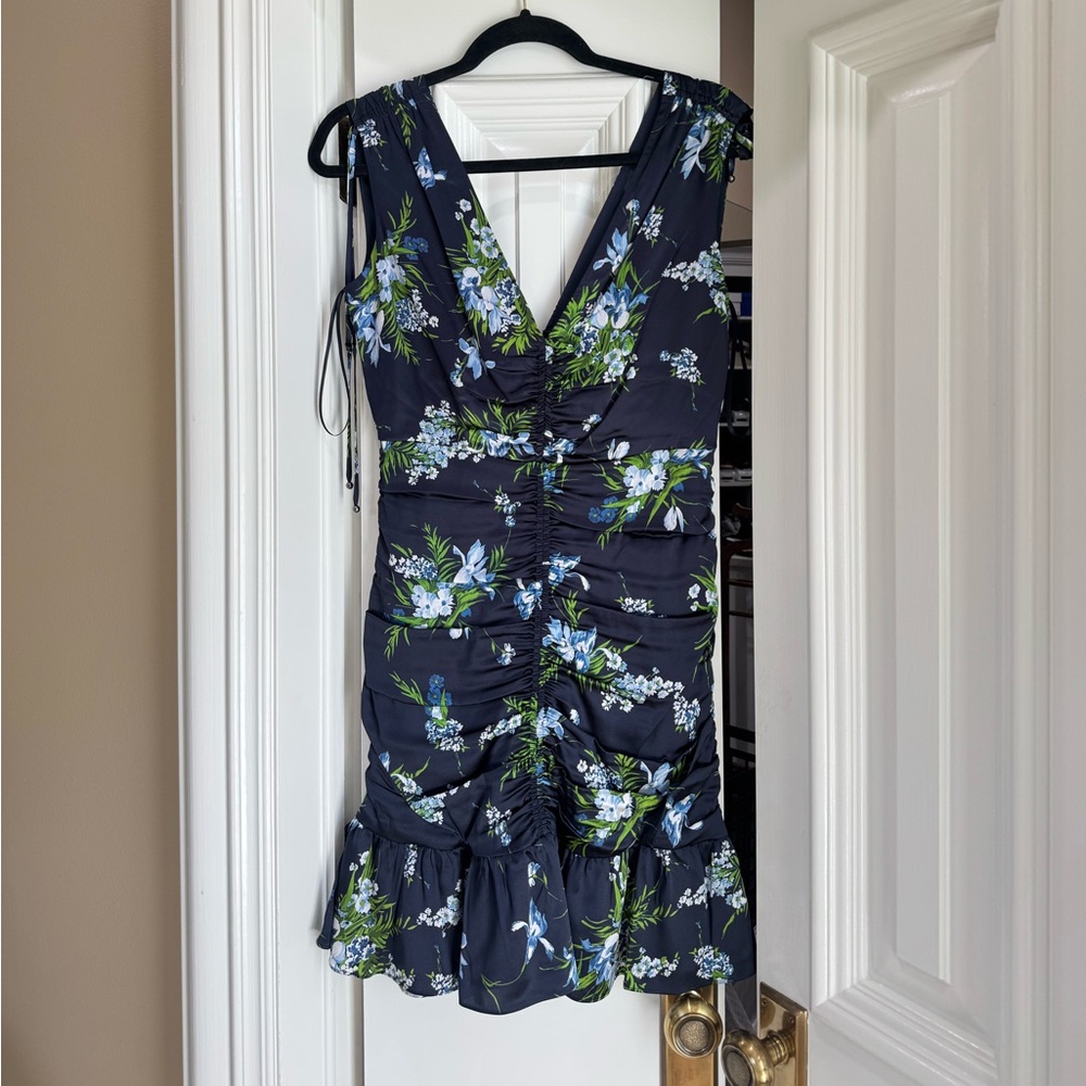 NWT Size 2 Veronica Beard Jackson Dress